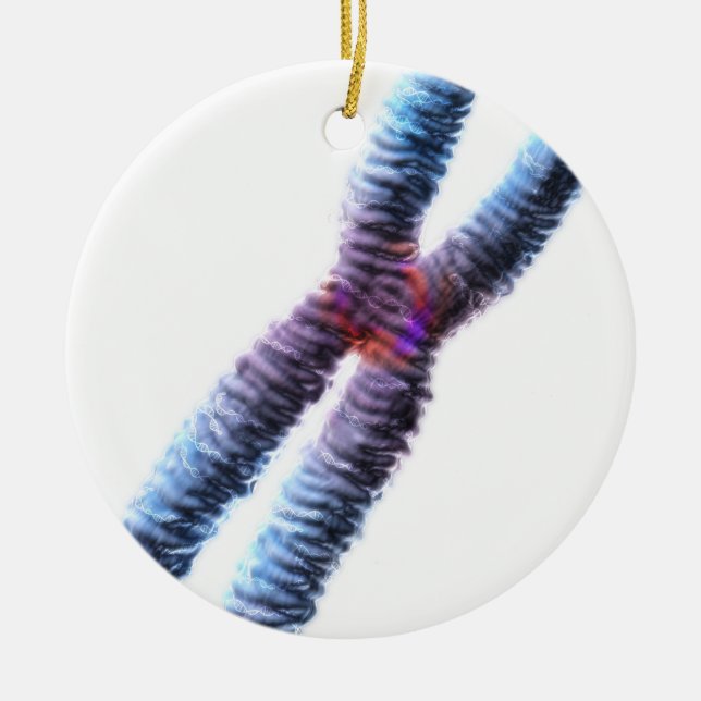 chromosome ceramic tree decoration (Front)