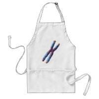 chromosome