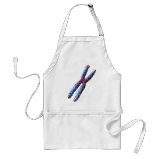 chromosome standard apron