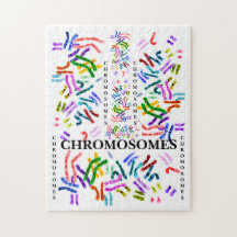 Chromosomes Challenging Fun for ages 10 and Up