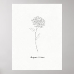 Chrysanthemum Art Print
