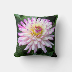 Chrysanthemum, Bute Park, Cardiff, Wales Cushion