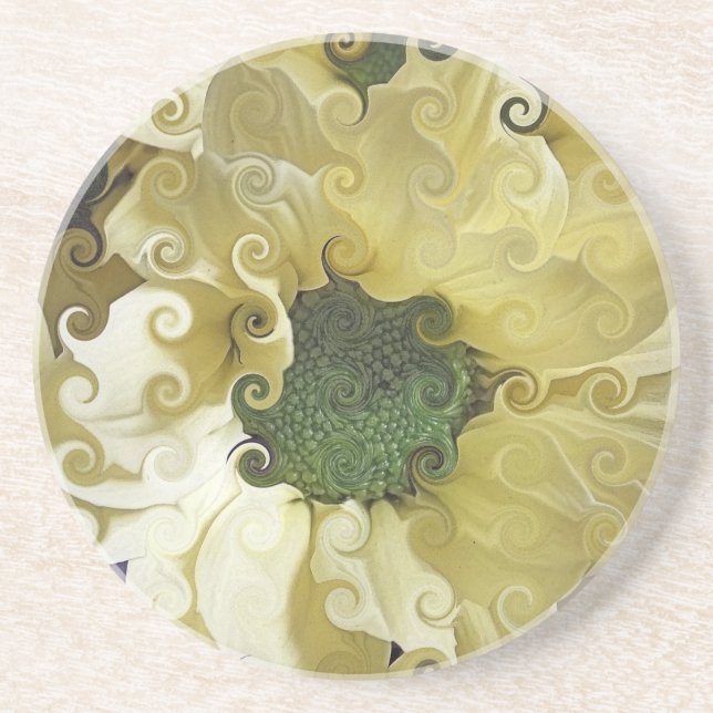 CHRYSANTHEMUM  COASTER (Front)
