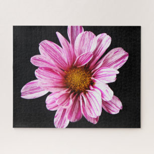 Chrysanthemum Flower 16x20 520pc jpcna Jigsaw Puzzle