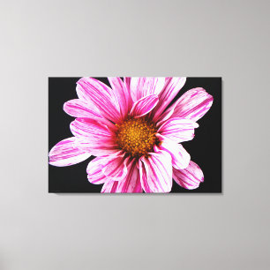 Chrysanthemum Flower 36x24 (90x60cm) wacm Canvas Print