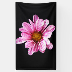 Chrysanthemum Flower bnrm Banner