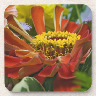 Chrysanthemum flower coaster