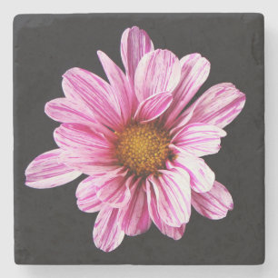 Chrysanthemum Flower coastercna Stone Coaster