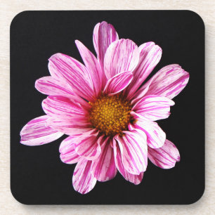 Chrysanthemum Flower coastercnm Coaster