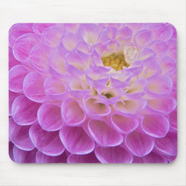 Chrysanthemum flower decorating grave site in mouse pad (Front)