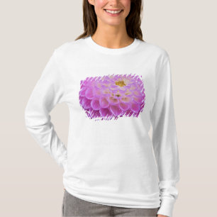 Chrysanthemum flower decorating grave site in T-Shirt