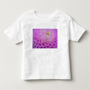 Chrysanthemum flower decorating grave site in toddler T-Shirt