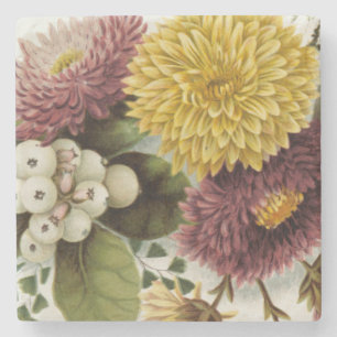 Chrysanthemum Flower Mum Floral Stone Coaster