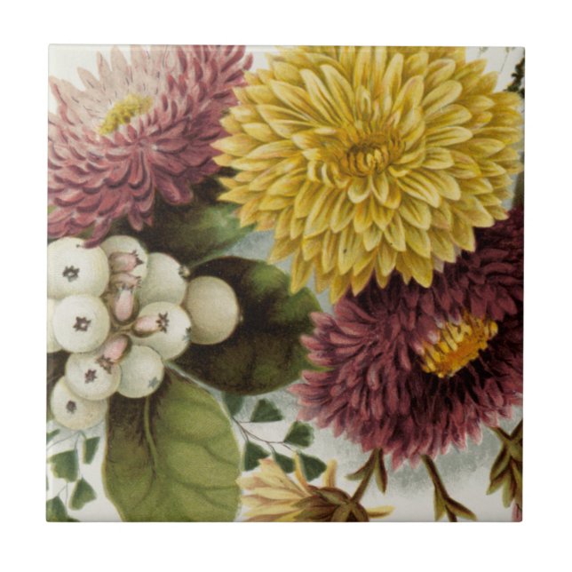 Chrysanthemum Flower Mum Floral Tile (Front)