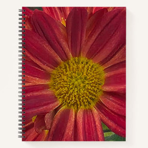Chrysanthemum Flower Notebook