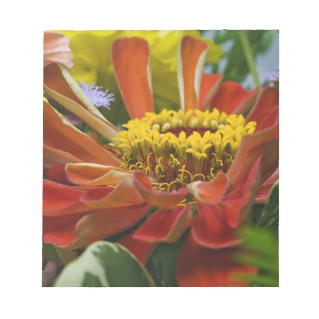 Chrysanthemum flower notepad (Front)
