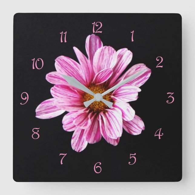 Chrysanthemum Flower Pink Script Numbers wccnm Square Wall Clock (Front)