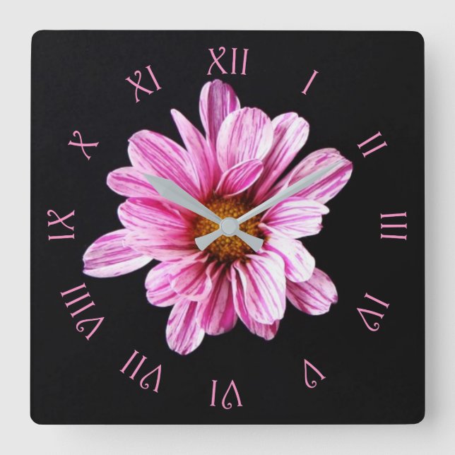 Chrysanthemum Flower Pink Script Roman wccna Square Wall Clock (Front)