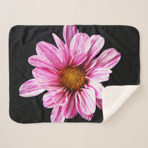 Chrysanthemum Flower sbcnm Sherpa Blanket