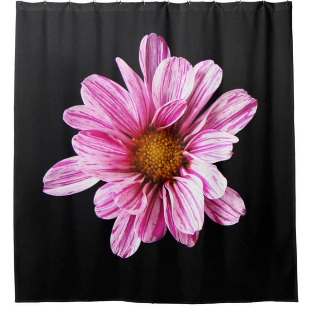 Chrysanthemum Flower sccnm Shower Curtain (Front)