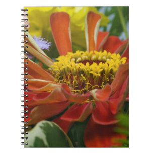 Chrysanthemum flower spiral notebook