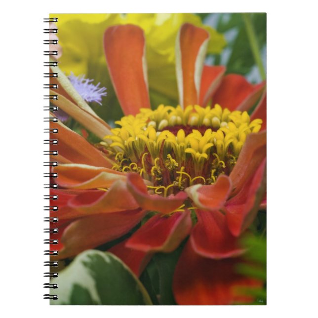 Chrysanthemum flower spiral notebook (Front)