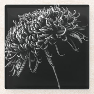 Chrysanthemum Glass Coaster
