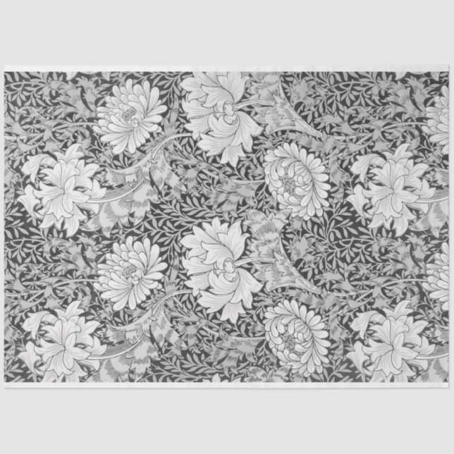 Chrysanthemum Grey, William Morris Tissue Paper (Front)