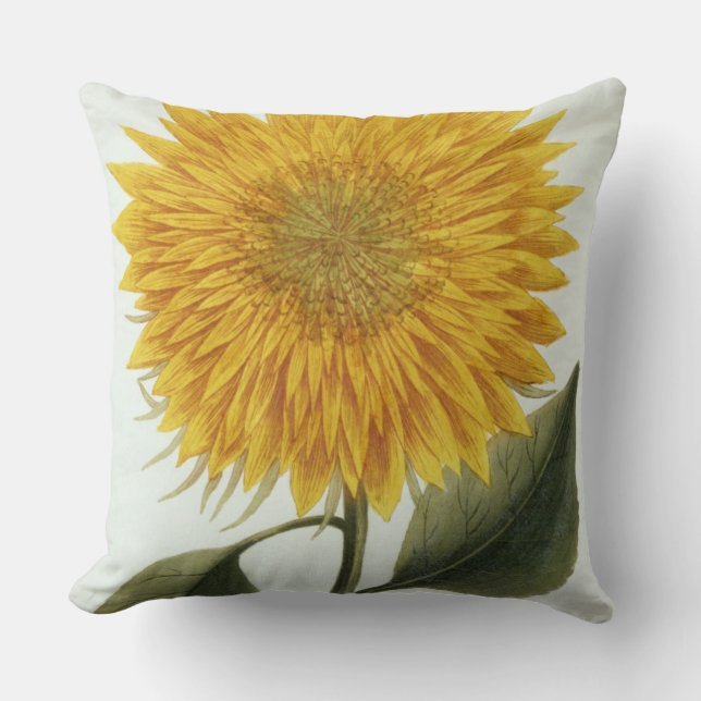 Chrysanthemum Indicum from 'Pythanthoza Iconograph Cushion (Front)