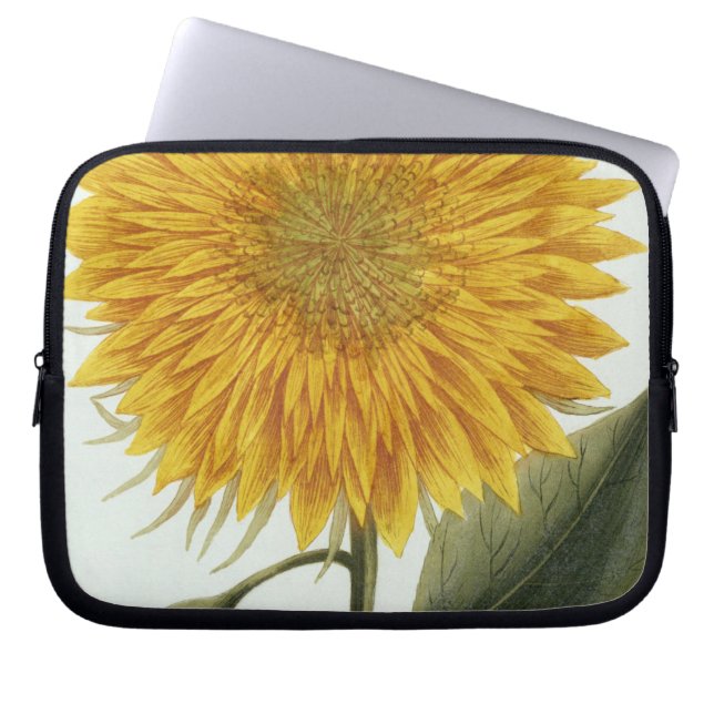 Chrysanthemum Indicum from 'Pythanthoza Iconograph Laptop Sleeve (Front)