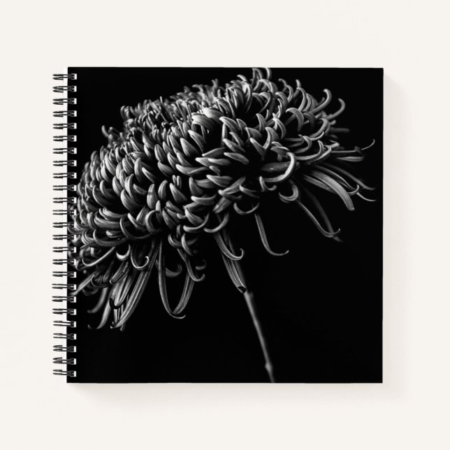 Chrysanthemum Notebook (Front)