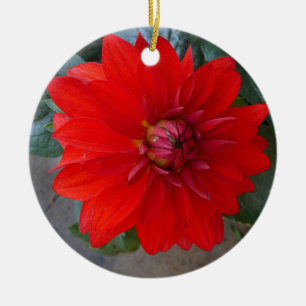 Chrysanthemum Ornament