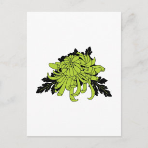 Chrysanthemum Postcard