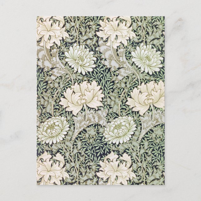 Chrysanthemum, William Morris Postcard (Front)