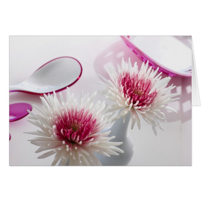 Chrysanthemums (Front Horizontal)