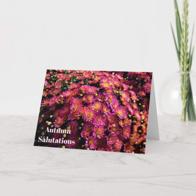 Chrysanthemums / Magenta / Autumn Salutations Card (Front)