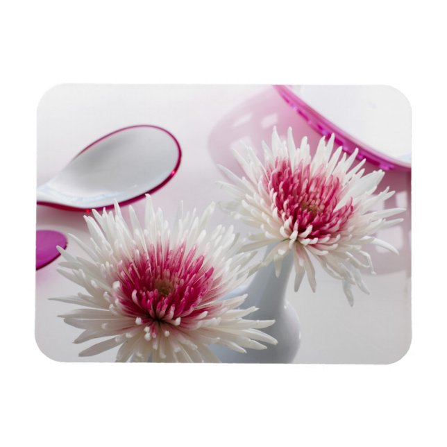 Chrysanthemums Magnet (Horizontal)