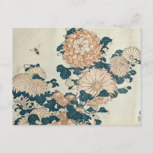 Chrysanthemums Postcard