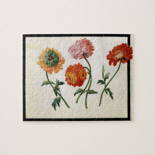 Chrysanthemums (w/c on paper) jigsaw puzzle