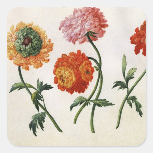 Chrysanthemums (w/c on paper) square sticker (Front)