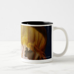 Chrysaora fuscescens, Pacific Sea nettle Two-Tone Coffee Mug