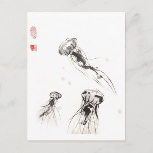 Chrysaora Jellyfish Postcard