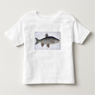 Chub (Cyprinus Jeses) plate VI from 'Ichthyologie, Toddler T-Shirt