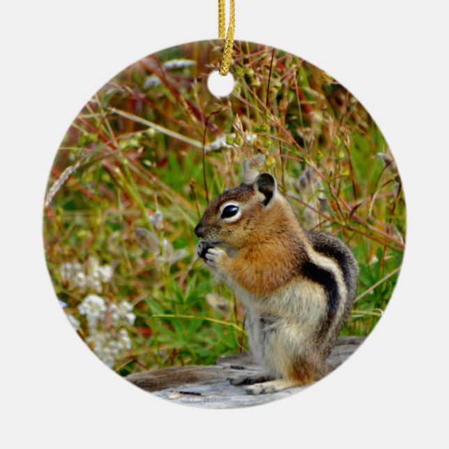 Chubby cute chipmunk on  on wood stump ceramic tree decoration (Front)