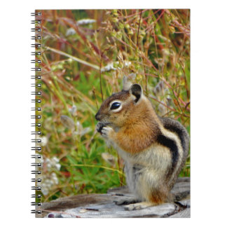 Chubby cute chipmunk on  on wood stump spiral notebook