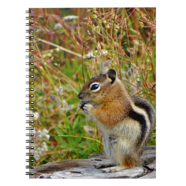 Chubby cute chipmunk on  on wood stump spiral notebook (Front)