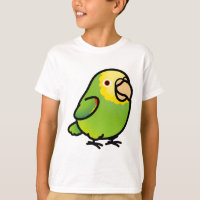 Chubby Double Yellow-headed Amazon