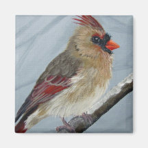 Chubby Female Cardinal - Magnet