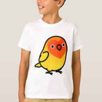 Chubby Fischer's Lutino Lovebird
