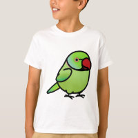 Chubby Green Indian Ringneck Parakeet